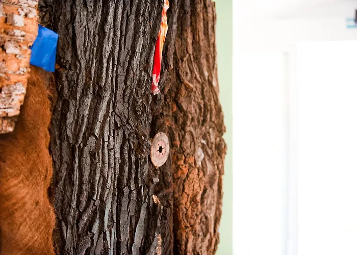 Internazionale Malcesine